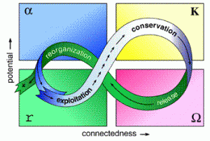 Panarchy model